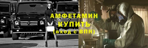 хмурый Аркадак