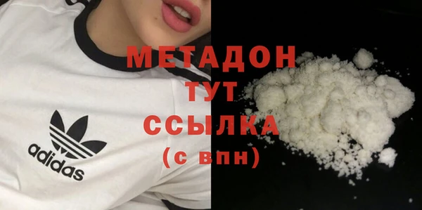 хмурый Аркадак