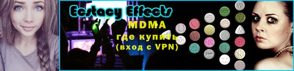 хмурый Аркадак