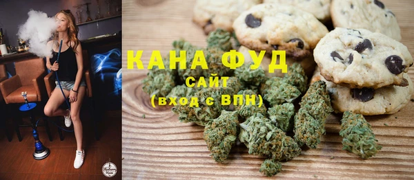 хмурый Аркадак