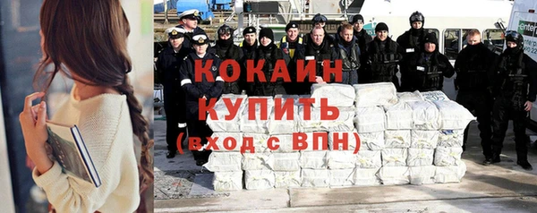 гашик Арсеньев