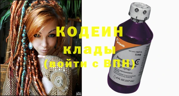 хмурый Аркадак
