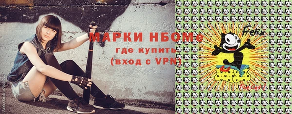 гашик Арсеньев
