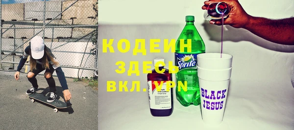 хмурый Аркадак