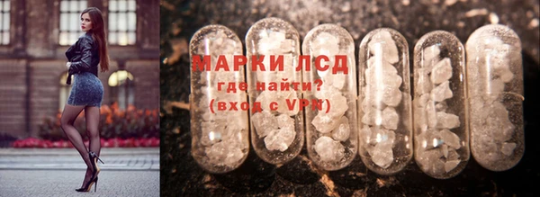 гашик Арсеньев