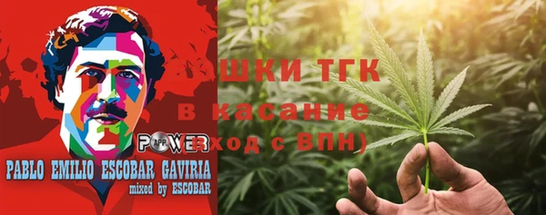 гашик Арсеньев