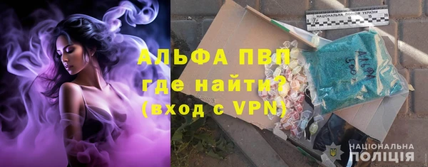 гашик Арсеньев