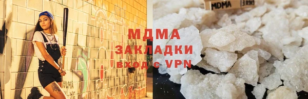 хмурый Аркадак