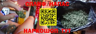спиды Новокубанск