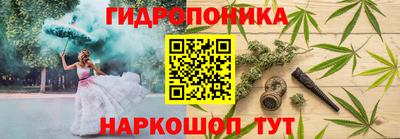 спиды Новокубанск
