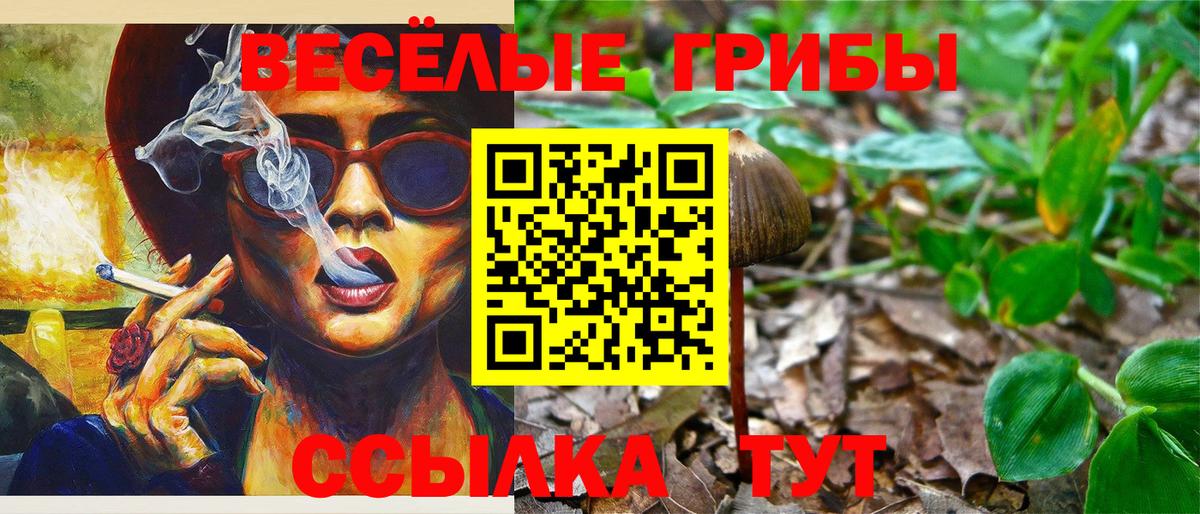 Галлюциногенные грибы MAGIC MUSHROOMS  Вход с VPN  Сосновый Бор 